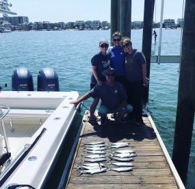 Spanish mackerel have arrived!