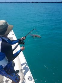 Florida Keys Report Photo 1