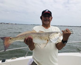 Pelican Island Report Photo 2