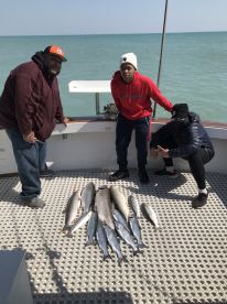 Chicago Metropolitan Area Report Photo 4