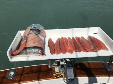 Great mix of species being caught