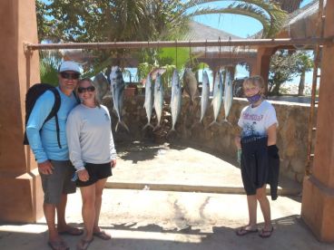 Baja California Sur Report Photo 1