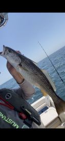 Cape Lookout Report Photo 1