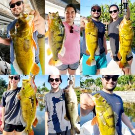 Delray Beach Report Photo 2