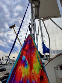 Cooper River Report Photo 1