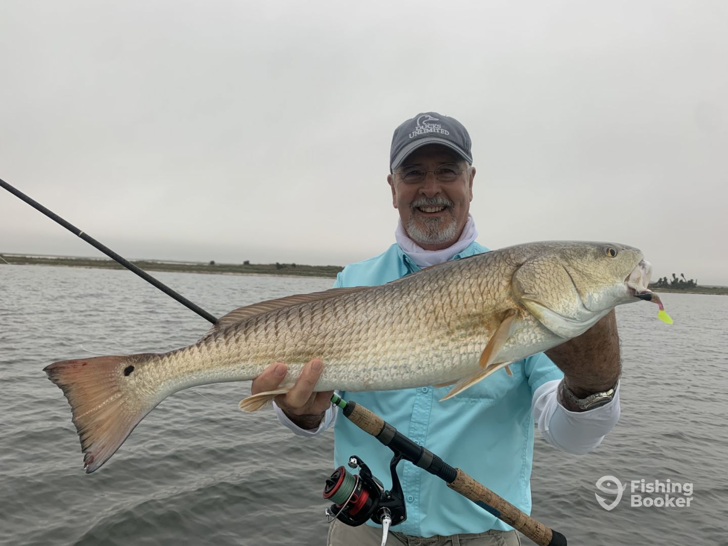 Oso Bay Report Photo 0