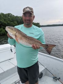 Pinellas County Report Photo 1