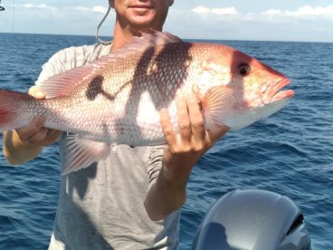 Snappers been biting-catch and release t