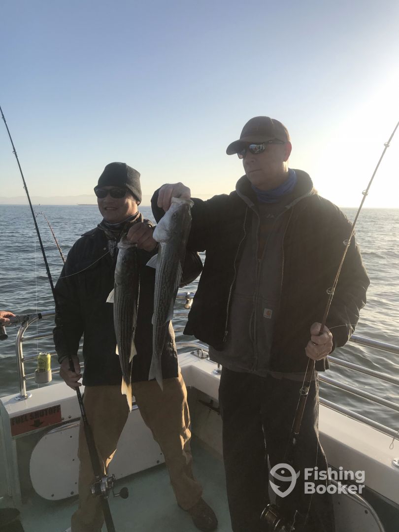 Pacific Coast Report Photo 0