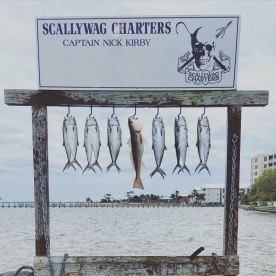 We offer fun for the whole family! All a