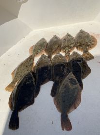Massachusetts Report Photo 2