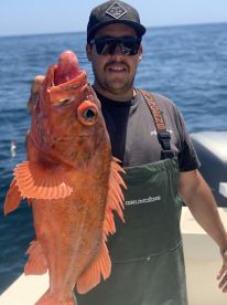 Orange County Report Photo 1