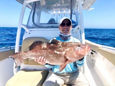 Red Grouper - Fishing for Grouper in the