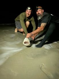 New Smyrna Beach Report Photo 1