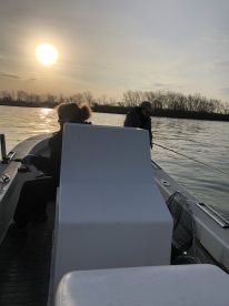 Wyandotte Report Photo 4