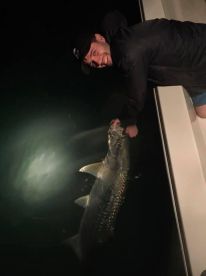 Islamorada Report Photo 1