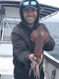 Massachusetts Report Photo 1