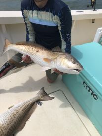 Poquoson Report Photo 1
