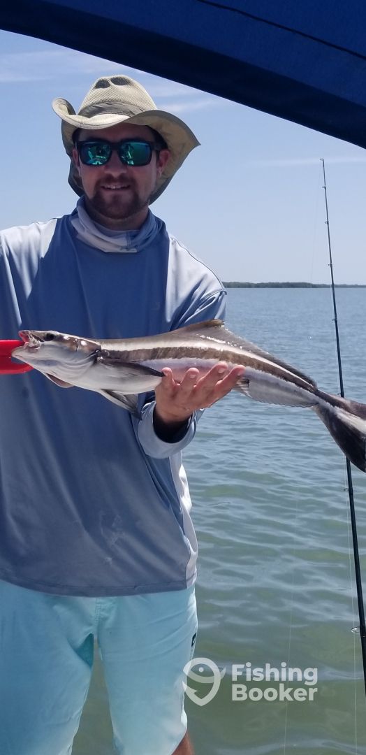 Cape Coral Report Photo 0