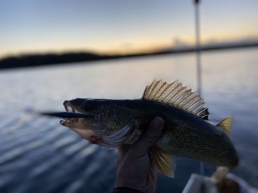 Lake Huron Report Photo 2