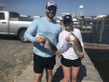 Manteo Report Photo 1