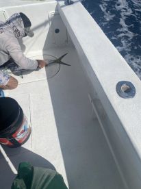 Herradura Report Photo 1