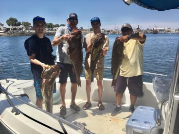 Sonora Report Photo 4