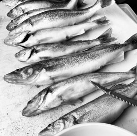 Lake Huron Report Photo 1