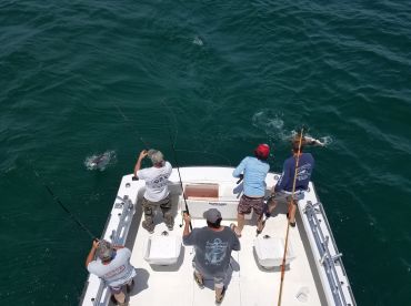 Outer Banks Report Photo 2