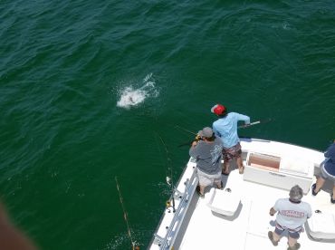 Nags Head Report Photo 1