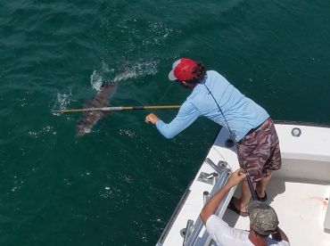 Nags Head Report Photo 2