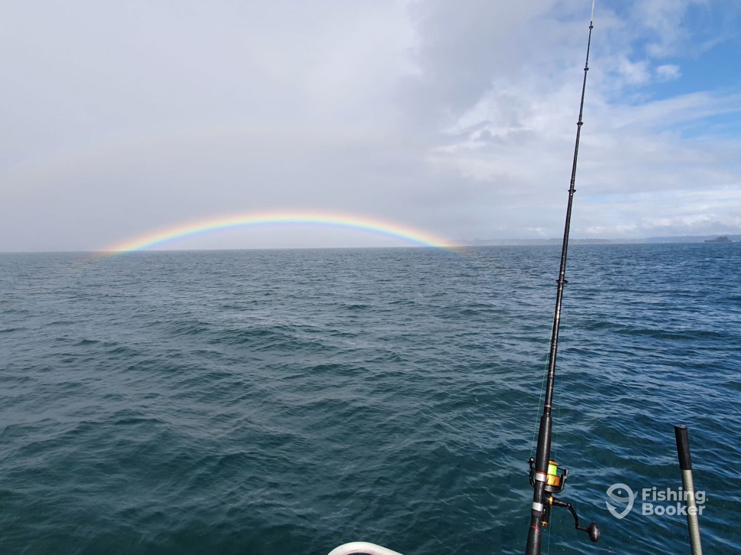 Bay Of Islands Report Photo 0
