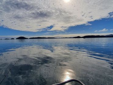 Bay of Islands April 2021