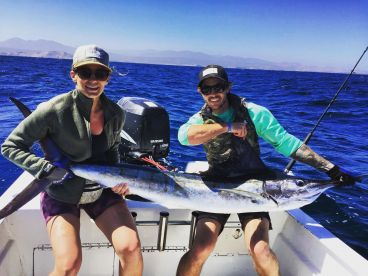Marlin in the area