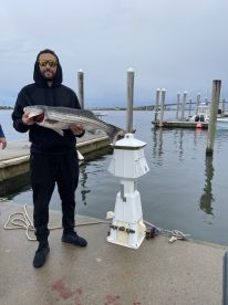 Jersey Shore Report Photo 2