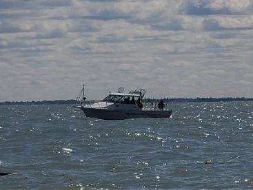 Catawba Island Report Photo 1