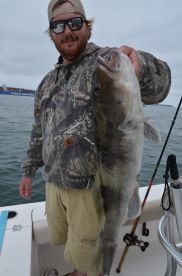Catalina Island Report Photo 1