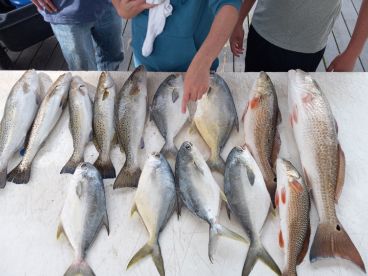 Perdido Pass Report Photo 1