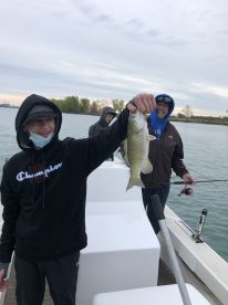Wyandotte Report Photo 3