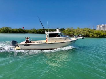 Cobia, Snook, Goliath, and Permit - Napl