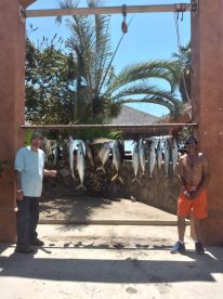 Baja California Sur Report Photo 3