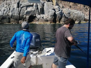 Baja California Sur Report Photo 4