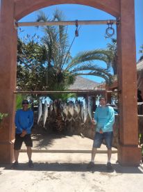 Baja California Sur Report Photo 2