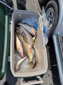Vermilion Report Photo 2