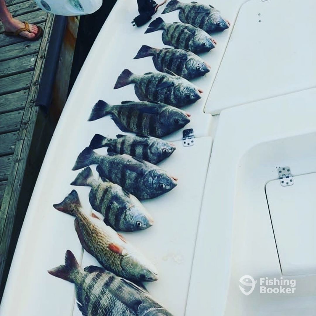 Holden Beach Report Photo 0
