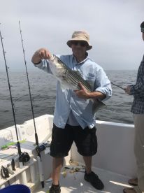 Bass on live bunker