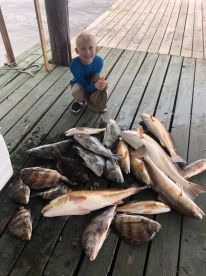 Barataria Report Photo 4