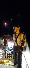 Dauphin Island Report Photo 1