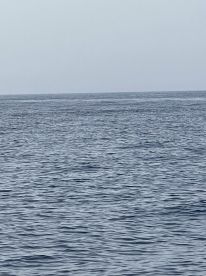 Offshore trip to Gunboats