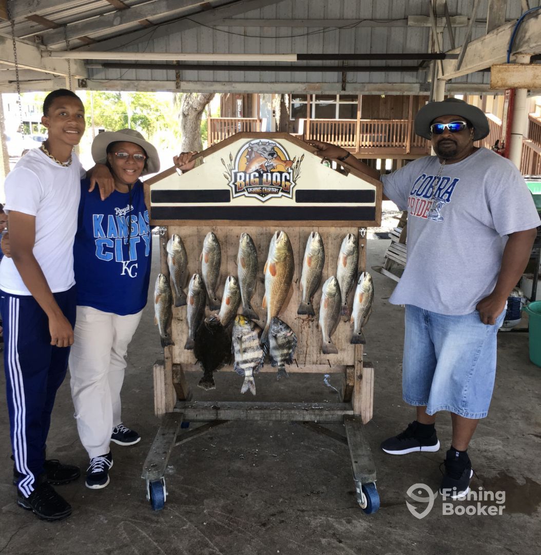 Barataria Report Photo 0